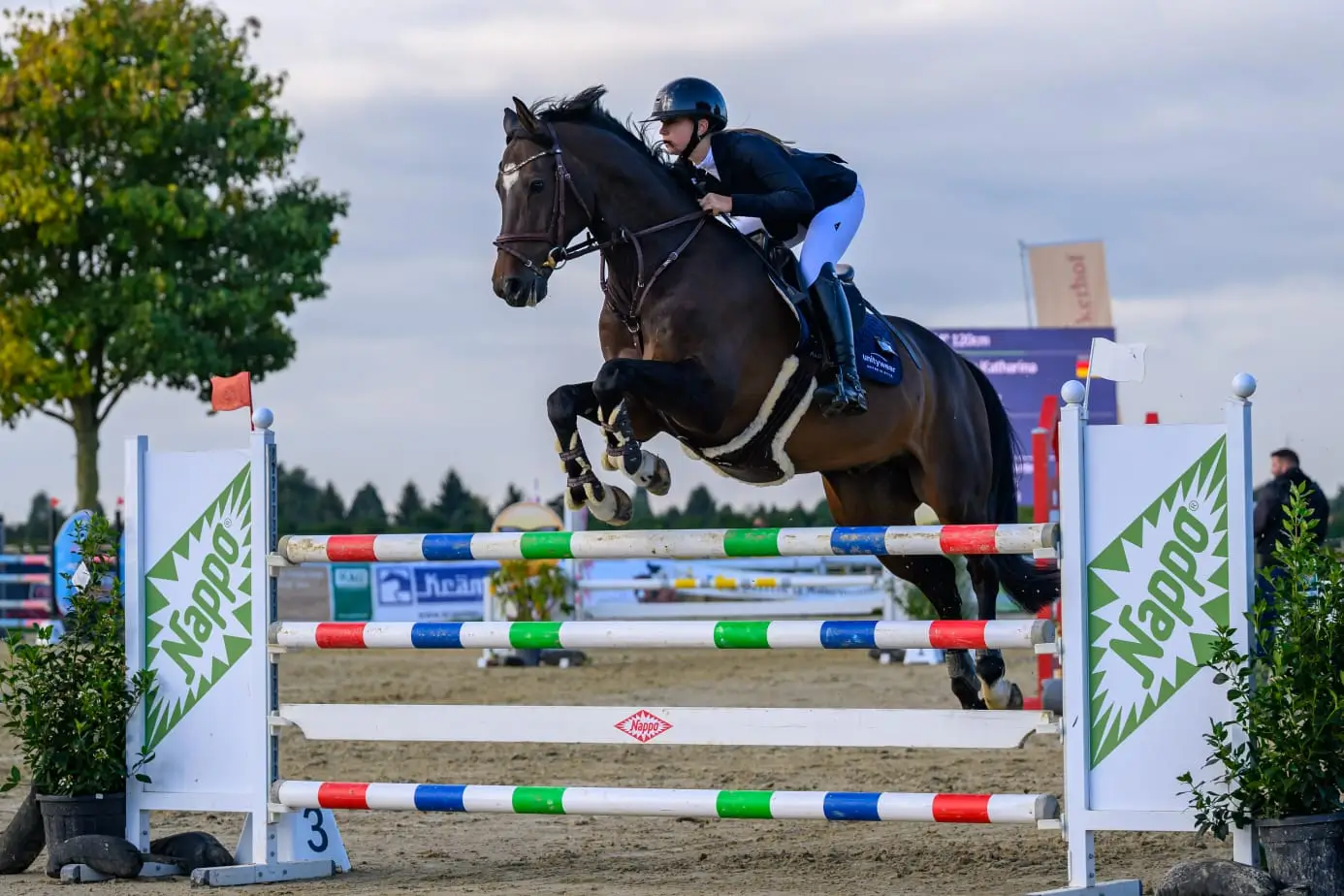 Reitsport Stickerei