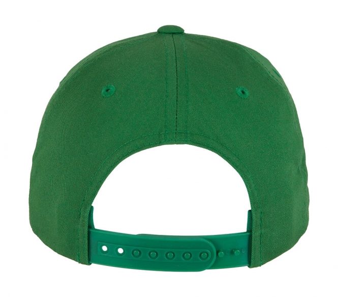 Curved Classic Snapback