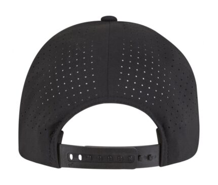 Delta Snapback