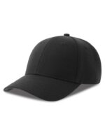 Champion-S Cap