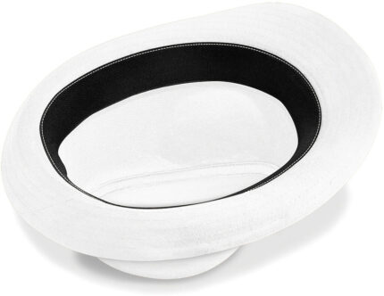 Fedora – 327 69 056 d 2015 01.jpg