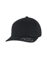 Flexfit 110 Curved Snapback
